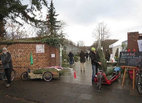 Verkauf von Weihnachtsbäumen, weiter im Vordergrund Lastenrad mit Weihnachtsbaum