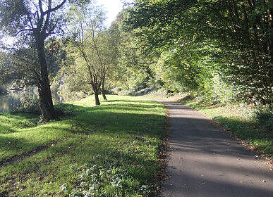 Radweg in den Siegauen - nur Natur