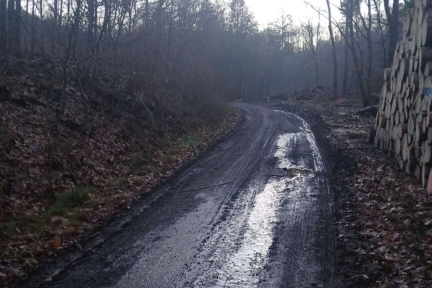 Bild des Mucherwiesenweg mit großen Pfützen